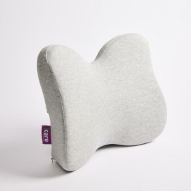 ICare Reform Low Back Support