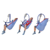 MAA4000__0010-12_Product_Page_Main_Image ARJO 4 Point Standard Sling (with padded legs and head support)