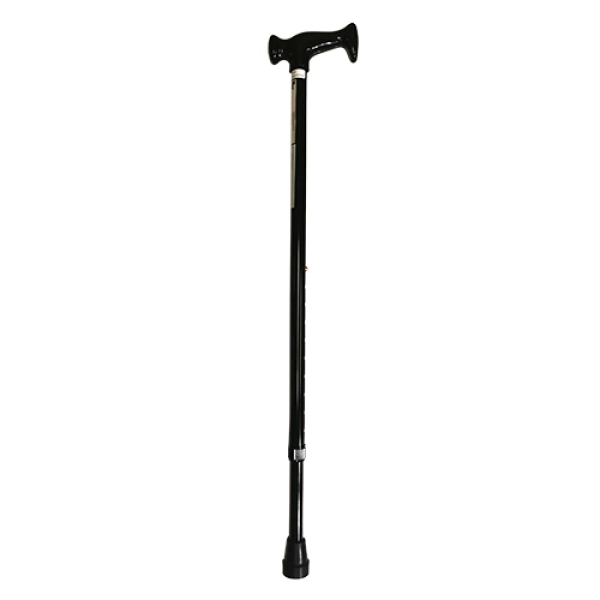 Walking Stick Red Gum