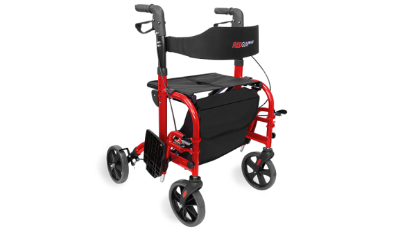 Dual Purpose Transit/Seat Walker